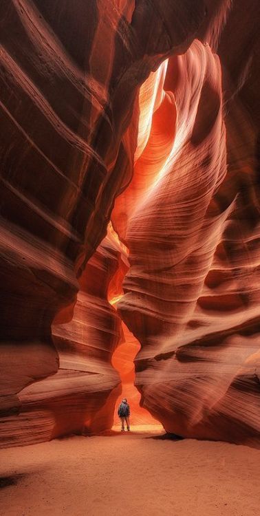 brookbooh:Explore Arizona