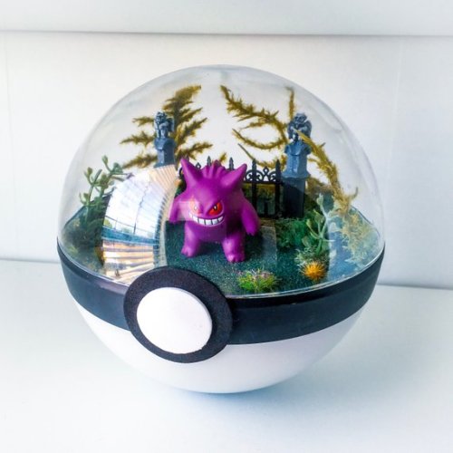 spookyfoxfashion:Poké Ball Terrariums from TheVintageRealmx /...