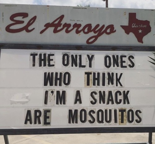 pizzaneverletsyoudown:El Arroyo for the win today..