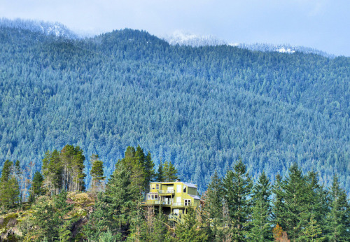 homeintheforest:Mountain Forest home in the Village of...