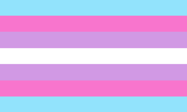 trans and gay flag icon