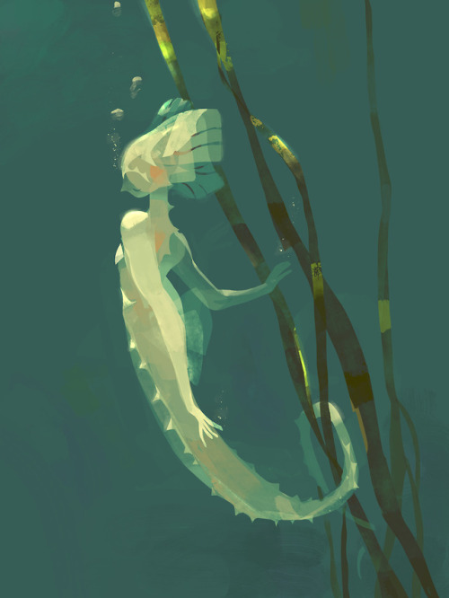 salamispots:The sorta spitpaint seahorse merm from that one...