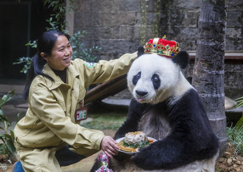 awesome-picz:Pets Having Better Birthday Parties Than You.