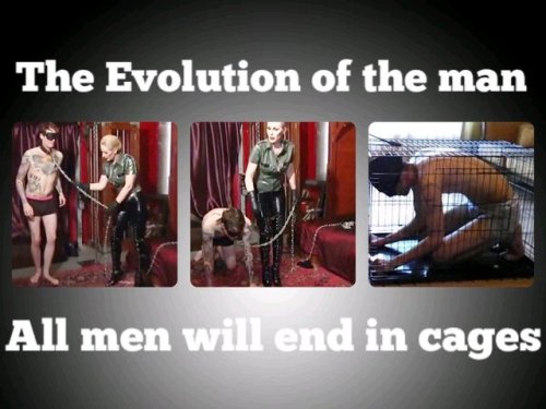 “The trajectory of male-pattern violence will end with cages.” -...