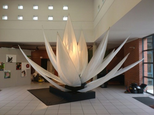 Prototype “lotus” Beatrice Darmagnac