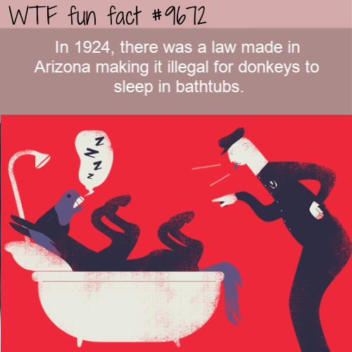 In 1924, there was a law made in Arizona making it illegal for donkeys to sleep in bathtubs. 