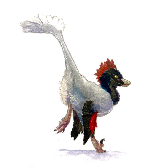 A Dinosaur A Day · Pyroraptor olympius