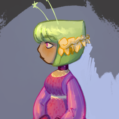 shoddyragdoll