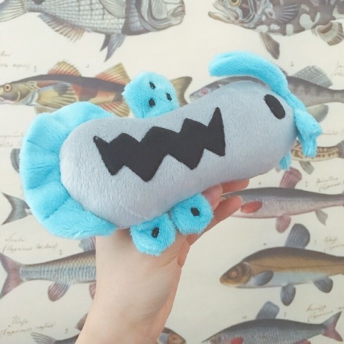 barboach plush