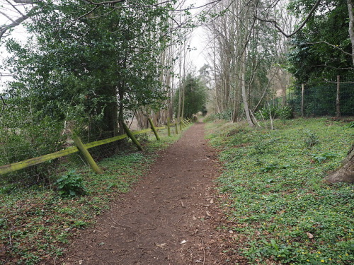 22.03.19We walked towards Mother Ludlams cave from Moor Park...