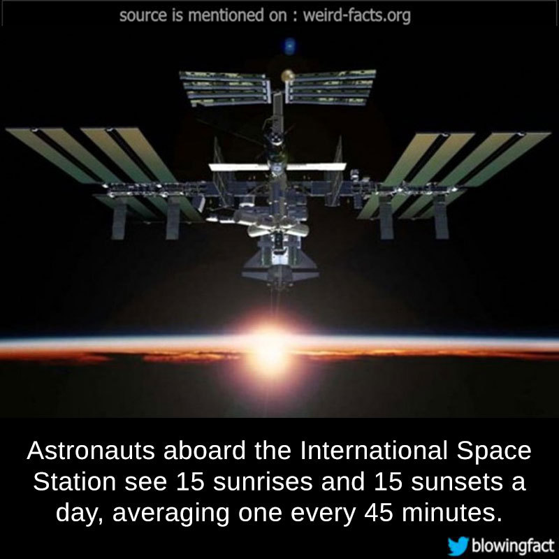 should international space station be capitalized