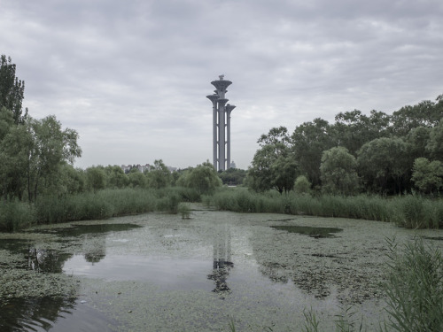 concreteslabz:Beijing, China© Damien Gosset