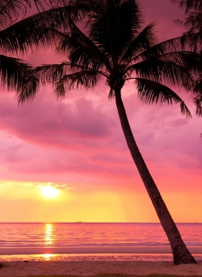 lifeisverybeautiful:via Dreamy Hawaii Vacation HolidaysHawaii