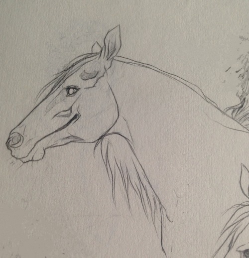 kimblewick:A couple of capaill uisce (kelpie) sketches from a...