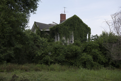 cairo cairoillinois abandoned abandondedplaces abandondedamerica abandondedhome landscape landscapephotography forgottenamerica original photography original content photographers on tumblr vincentglielmi