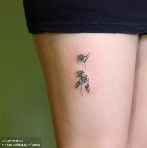 By Comotattoo, done in Seoul. http://ttoo.co/p/30335 flower;small;single needle;thigh;como;facebook;nature;twitter;camellia;illustrative