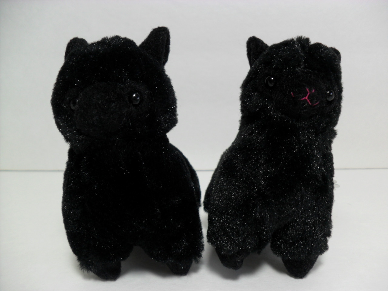 black alpacasso