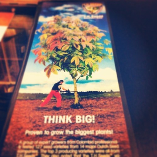 Think big!