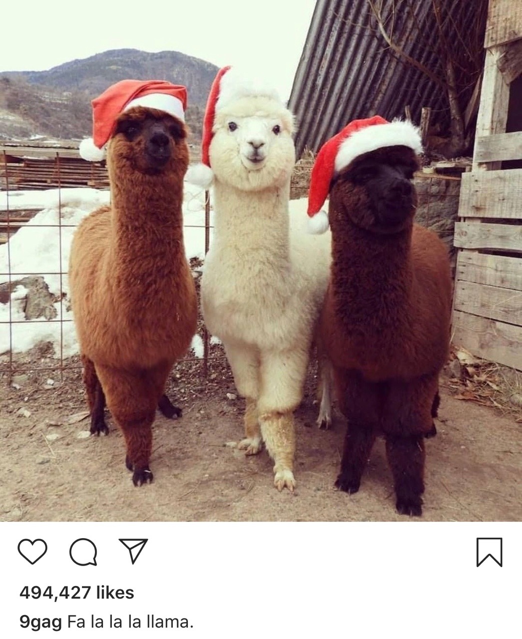 christmas llama | Tumblr