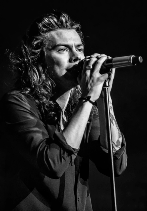 black and white harry styles