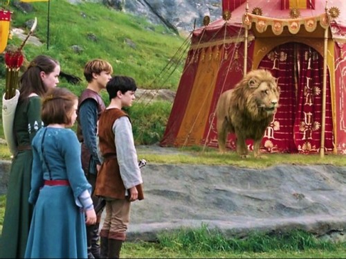 nothinggold13:Uncommon Pevensie Screencaps: LWW