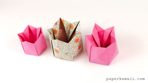 Paper Kawaii Pentagonal Origami Crown Box Lid Instructions