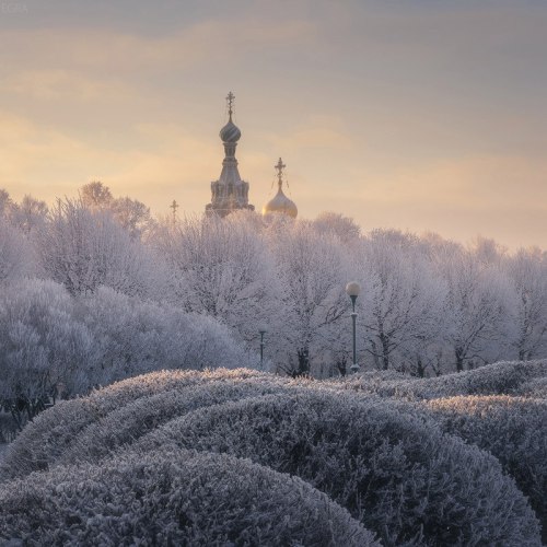 northwindnovoross:St. Petersburg: Champ de Mars, the Savior on...