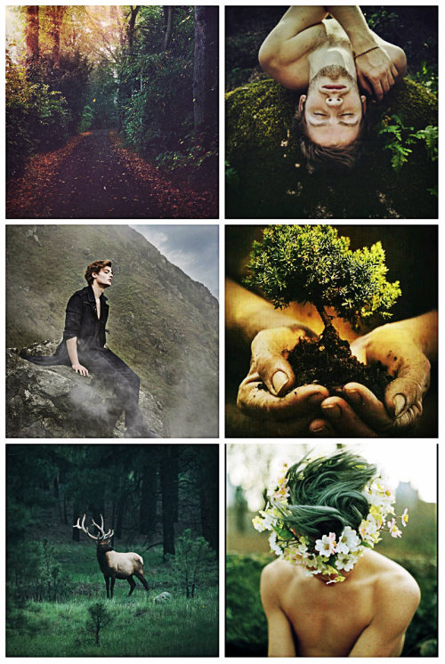 stormwaterwitch:Male Earth Witch Aesthetic