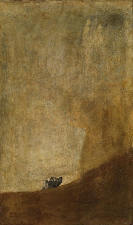 immafuster:Francisco Goya - El perro