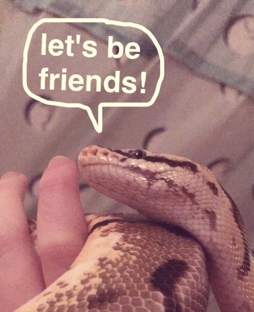 william-snekspeare:erpprincess:william-snekspeare:Monty is...