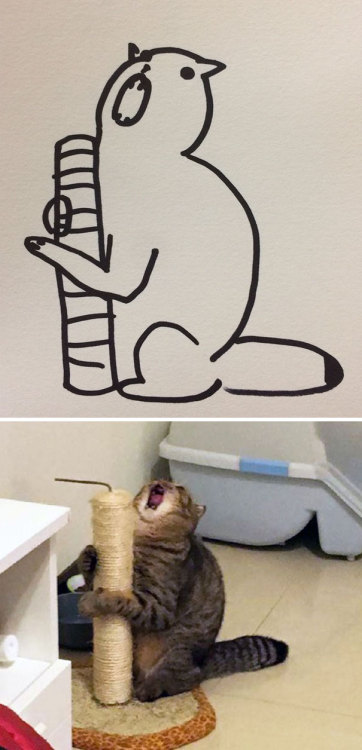 catsbeaversandducks:Super-realistic!By poorly drawn cats