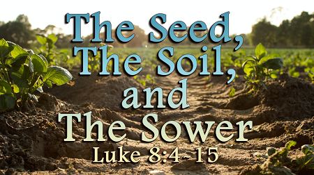 The Seed The Soil and the Sower Luke 8
