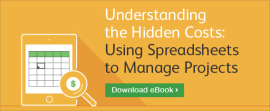 Hidden Costs of Spreadsheets for Managing Projects