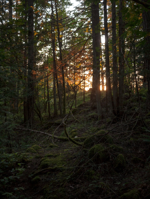 jessebalmer:Pender Island, BC