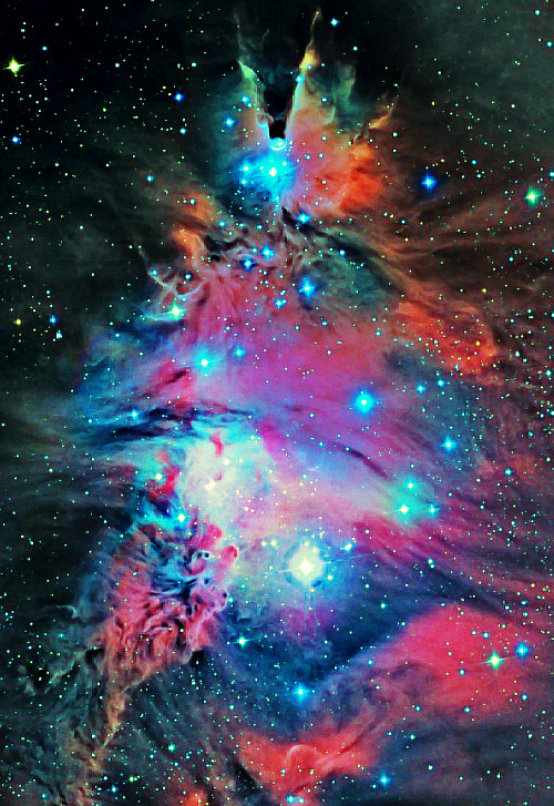 weareallstarstuff:Christmas Tree Nebula