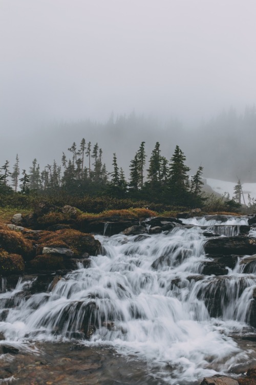 photographers on tumblr glacier national park fog foggy foggy morning landscape nature travel waterfallwednesday waterfall going to the sun road naturelovers natureaddict lensblr