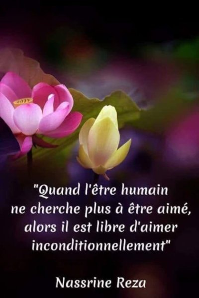 Image De Citation Je Taime Dun Amour Inconditionnel Citation