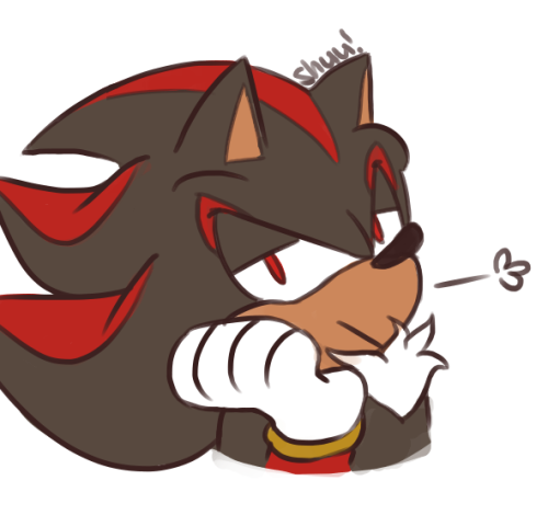 Cute Shadow The Hedgehog