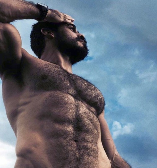 Hairy Chested Men