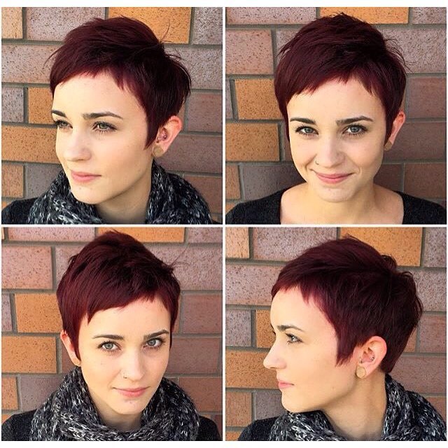 Proper Pixie Cuts Photo