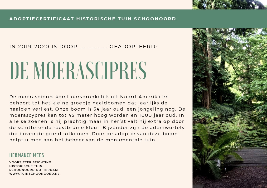 Historische Tuin Schoonoord — Bomenadoptie