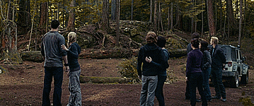 bonniebirddoesgifs