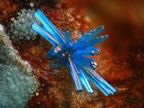 Connellite La Cena del Depósito concession, Cerro Minado Mines,...