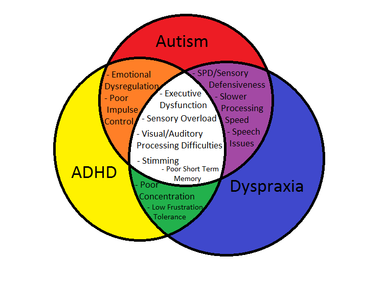 Dyspraxia Chart