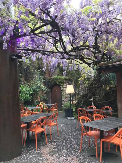 This Wisteria-covered seating arrangement in Alsace, France