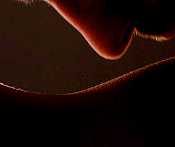 tumblr_p9ga0iCJkt1xnu2hvo1_250.gifv