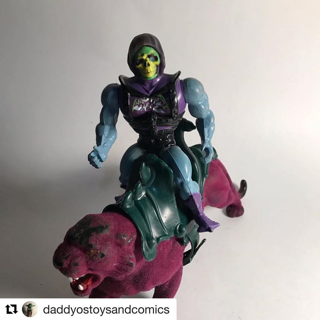 skeletor purple panther