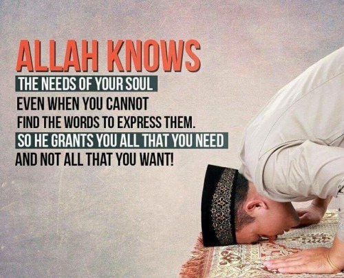 Www Islamic Quotes Com Best Islamic Quotes Resource Online