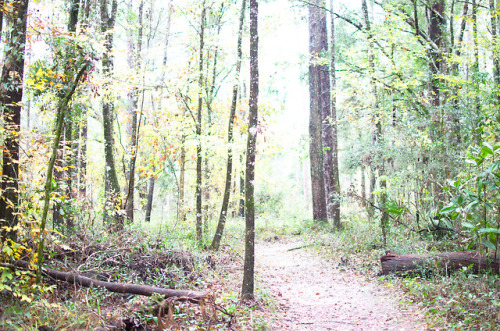 Wakulla Springs State Park