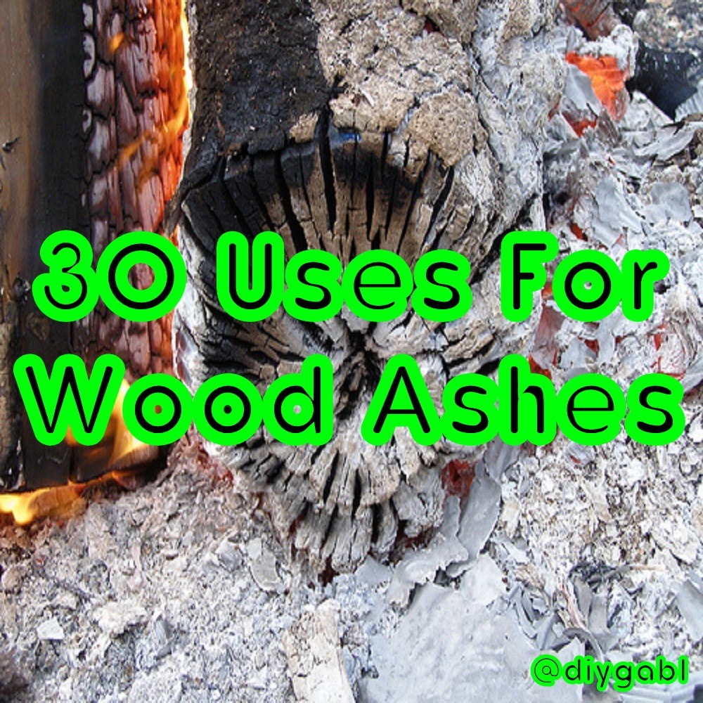 30 Uses For Wood Ashes If you’ve got a fireplace... - DIY Gardening